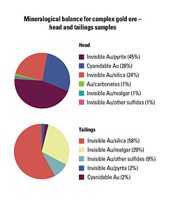 Ore and tailings mineralogical balance.