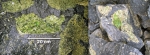 Large peridot and ultramafic inclusions in basalt ore