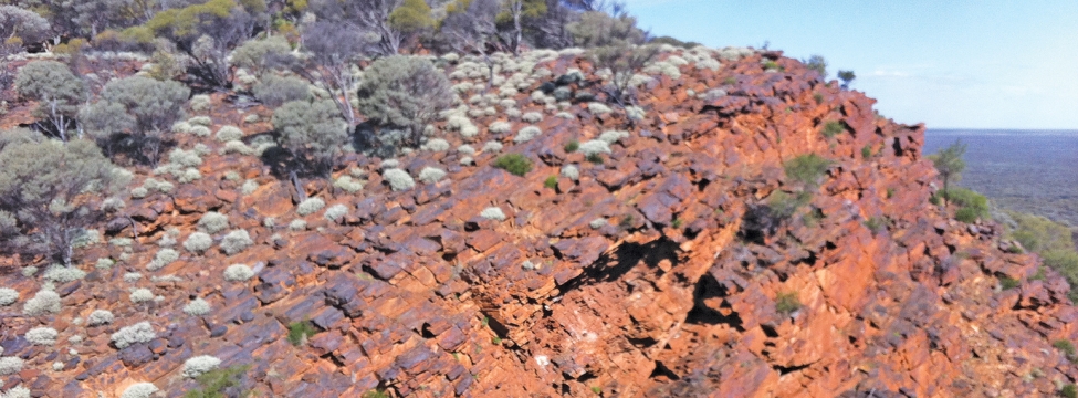 Australasia: Mt Mason hematite